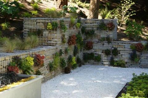 növényekkel beültetett gabion